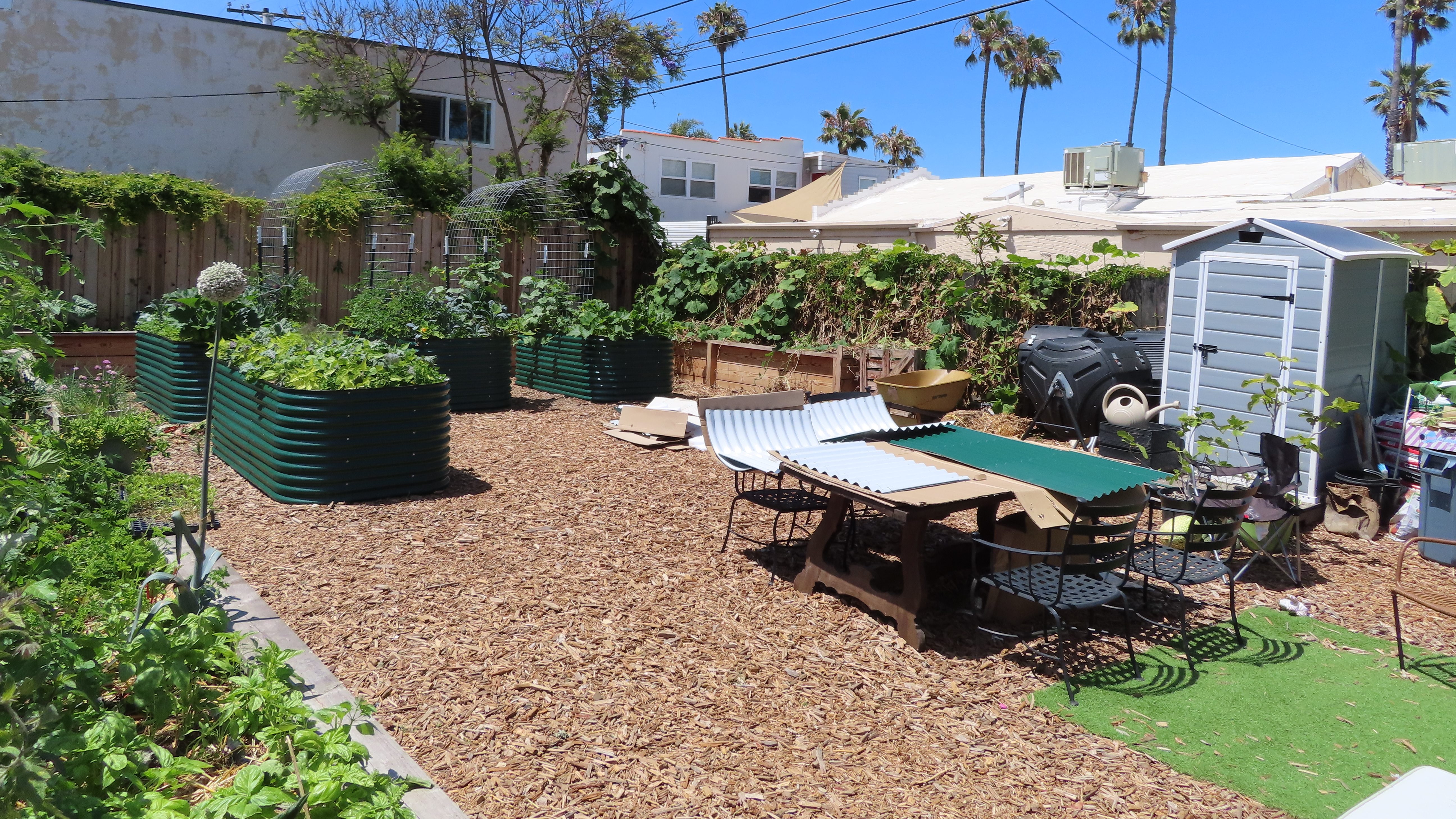 A distance shot of The Plot community garden. They have many raised beds and a shed for gardening equipment. Everything is green and looks healthy. There is a patio table in the front of the image with different colors of corrugated, bendable metal for making the raised beds. There are blue skies.